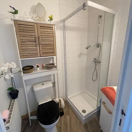 Le Repos Poitevin Un Brin Romantique Apartment *